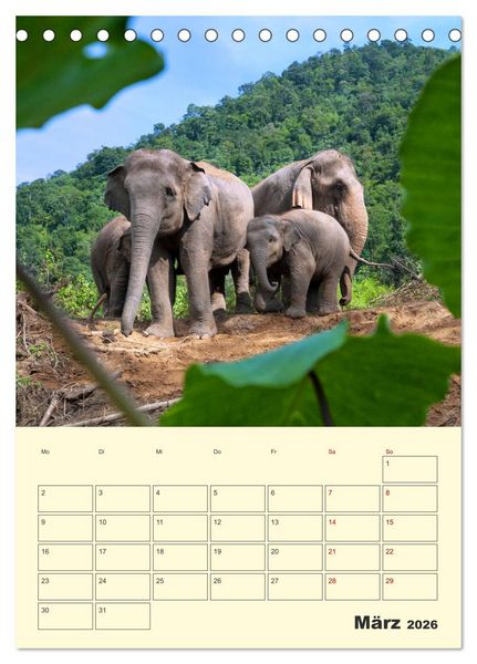 Produktbild: ELEFANTEN - Asiens graue Riesen (Tischkalender 2026 DIN A5 hoch), CALVENDO Monatskalender