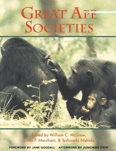 Produktbild: Great Ape Societies