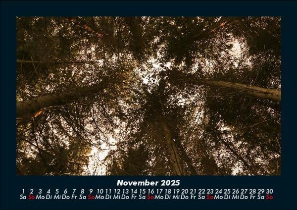 Produktbild: Bilder der Natur 2025 Fotokalender DIN A5