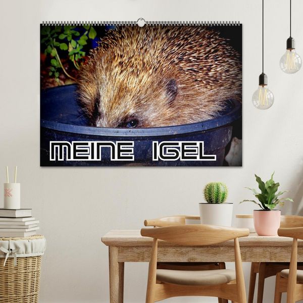 Produktbild: Meine Igel (Wandkalender 2026 DIN A2 quer), CALVENDO Monatskalender