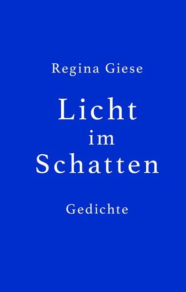 Produktbild: Licht im Schatten