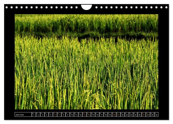 Produktbild: Bali - Details (Wandkalender 2026 DIN A4 quer), CALVENDO Monatskalender
