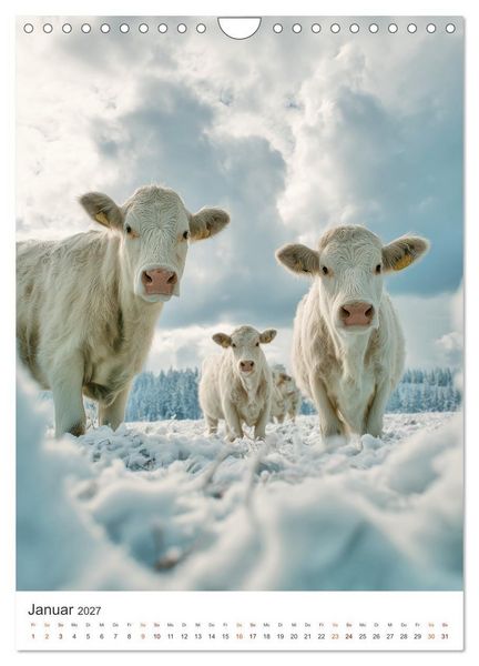 Produktbild: Die Liebe zur Kuh (Wandkalender 2027 DIN A4 hoch), CALVENDO Monatskalender