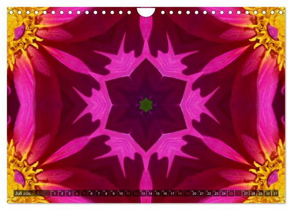 Produktbild: Natur im Kaleidoskop (Wandkalender 2026 DIN A4 quer), CALVENDO Monatskalender