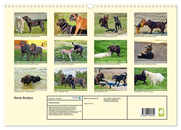 Produktbild: Beste Buddys (Wandkalender 2026 DIN A3 quer), CALVENDO Monatskalender