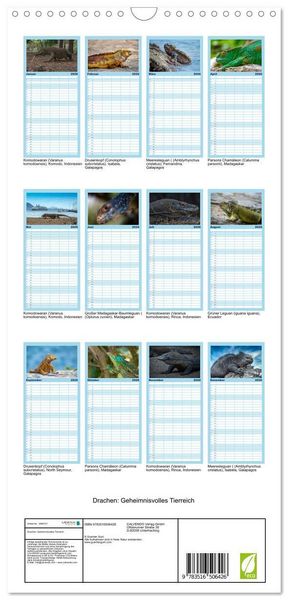 Produktbild: Familienplaner 2026 - Drachen: Geheimnisvolles Tierreich mit 5 Spalten (Wandkalender, 21 x 45 cm) CALVENDO