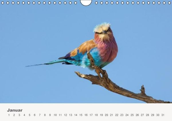 Produktbild: Faszination Ostafrika - Tierwelt und Natur aus Kenia und Tansania (Wandkalender immerw&auml;hrend DIN A4 quer)