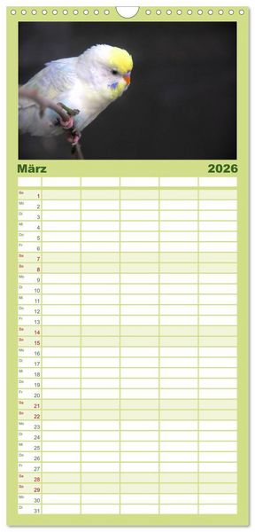 Produktbild: Familienplaner 2026 - Wellensittiche - Naturkalender mit 5 Spalten (Wandkalender, 21 x 45 cm) CALVENDO