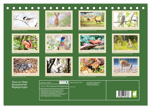 Produktbild: Tiere im Wald. Bezaubernde Begegnungen (Tischkalender 2026 DIN A5 quer), CALVENDO Monatskalender