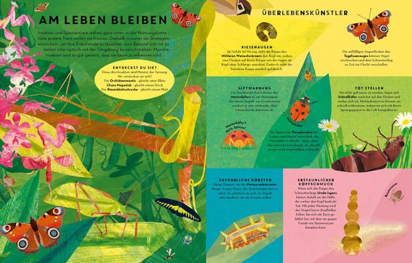 Produktbild: Sechs Beine oder mehr &ndash; Die Wunderwelt der Insekten und Spinnen