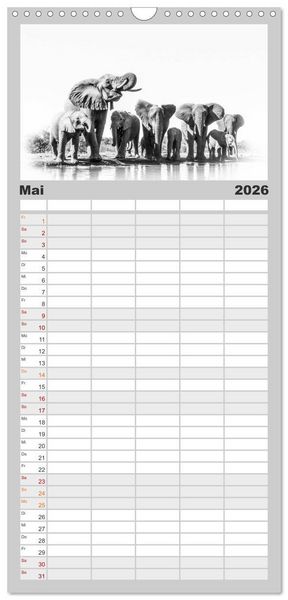 Produktbild: Familienplaner 2026 - AFRIKA - Schwarz-weiss Fotografien im modernen "High Key" Look mit 5 Spalten (Wandkalender, 21 x 45 cm) CALVENDO