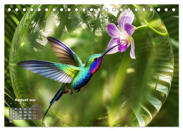 Produktbild: Kolibri in der Glaskugel (Tischkalender 2026 DIN A5 quer), CALVENDO Monatskalender