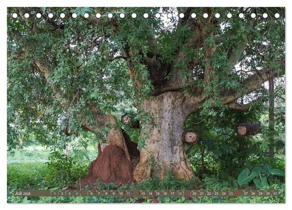 Produktbild: Geheimtipp Uganda (Tischkalender 2026 DIN A5 quer), CALVENDO Monatskalender