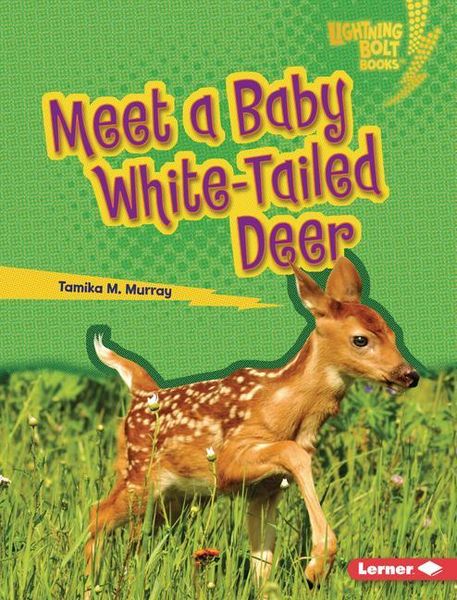 Produktbild: Meet a Baby White-Tailed Deer