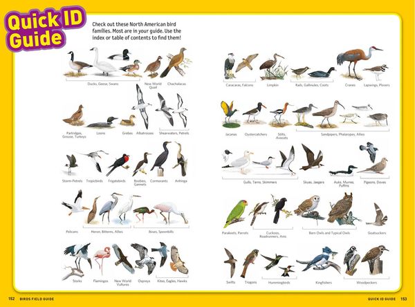 Produktbild: Ultimate Explorer Field Guide: Birds