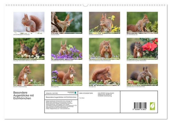 Produktbild: Besondere Augenblicke mit Eichh&ouml;rnchen (hochwertiger Premium Wandkalender 2027 DIN A2 quer), Kunstdruck in Hochglanz