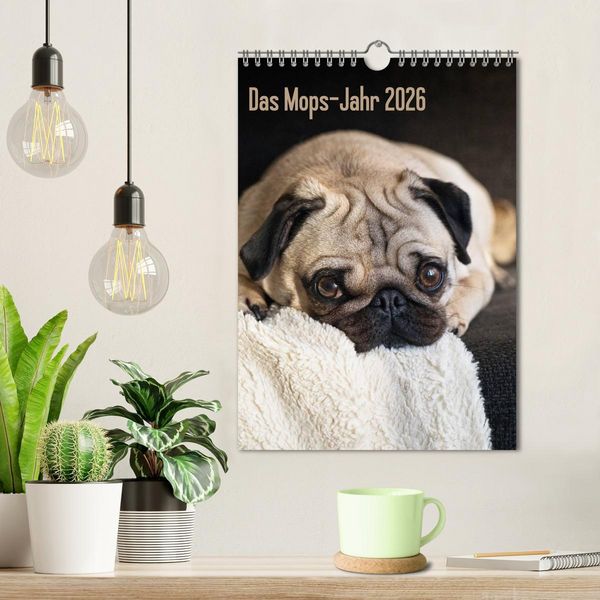 Produktbild: Das Mops-Jahr 2026 (Wandkalender 2026 DIN A4 hoch), CALVENDO Monatskalender