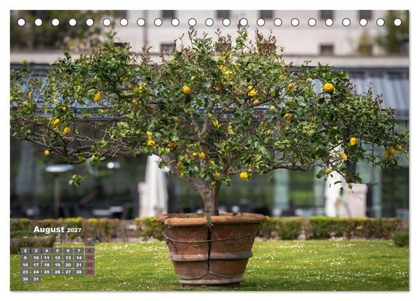 Produktbild: Bella Roma- Ewige Sch&ouml;nheit (Tischkalender 2027 DIN A5 quer), CALVENDO Monatskalender