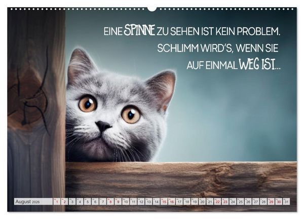 Produktbild: KATZEN-IRONIE Lach mal wieder (hochwertiger Premium Wandkalender 2026 DIN A2 quer), Kunstdruck in Hochglanz