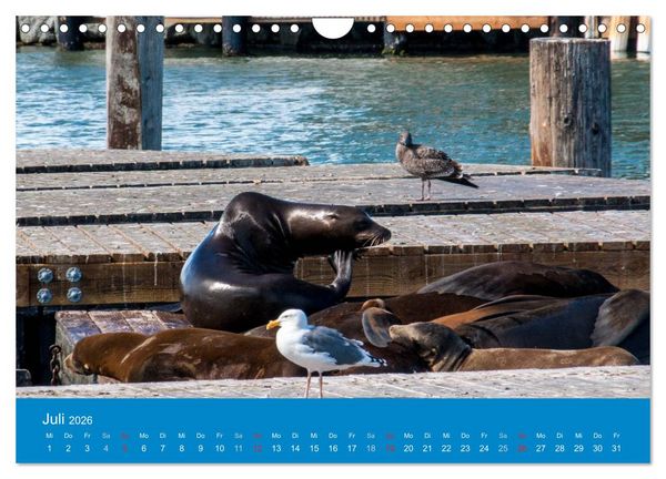 Produktbild: San Francisco - Wie ich es sehe (Wandkalender 2026 DIN A4 quer), CALVENDO Monatskalender