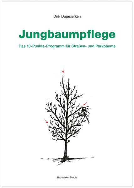 Produktbild: Jungbaumpflege