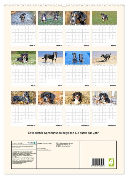 Produktbild: Entlebucher Sennenhunde begleiten Sie durch das Jahr (hochwertiger Premium Wandkalender 2026 DIN A2 hoch), Kunstdruck in Hochglanz