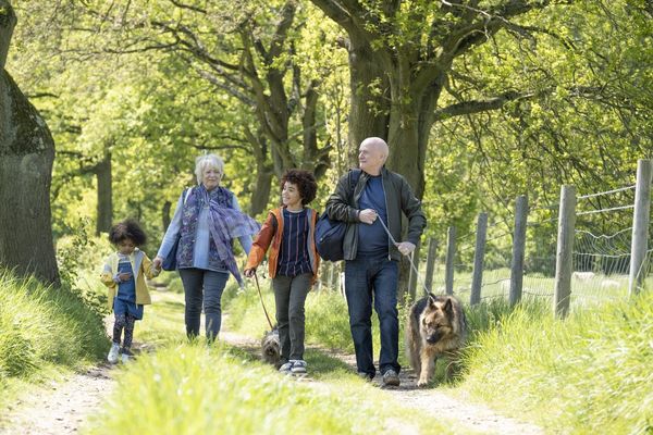 Produktbild: Mit Herz und Hund