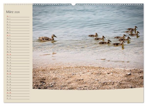 Produktbild: Gardasee - Manerba del Garda (Wandkalender 2026 DIN A2 quer), CALVENDO Monatskalender