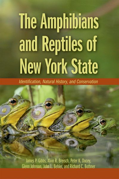 Produktbild: The Amphibians and Reptiles of New York State