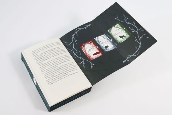 Produktbild: Linger (Die W&ouml;lfe von Mercy Falls, Band 2)