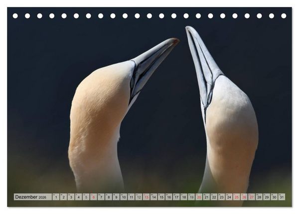 Produktbild: Sch&ouml;ne Basst&ouml;lpel (Tischkalender 2026 DIN A5 quer), CALVENDO Monatskalender