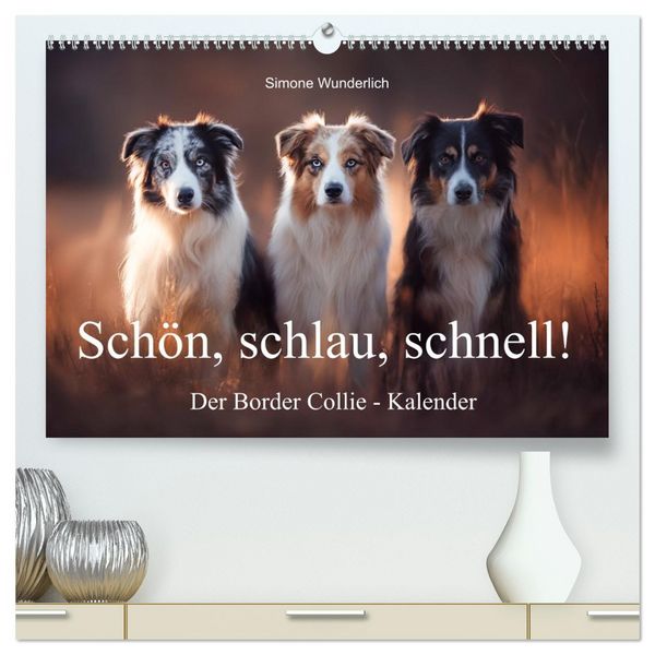 Produktbild: Sch&ouml;n, schlau, schnell! - Der Border Collie - Kalender (hochwertiger Premium Wandkalender 2026 DIN A2 quer), Kunstdruck in Hochglanz