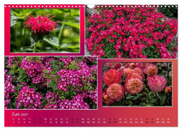 Produktbild: Erfurt erbl&uuml;ht (Wandkalender 2027 DIN A3 quer), CALVENDO Monatskalender