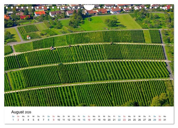 Produktbild: W&uuml;rttemberger Wein 2026 (Wandkalender 2026 DIN A4 quer), CALVENDO Monatskalender