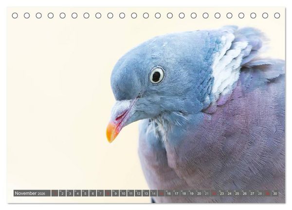 Produktbild: INNE BOTANIK - V&ouml;gel im Ruhrpott (Tischkalender 2026 DIN A5 quer), CALVENDO Monatskalender