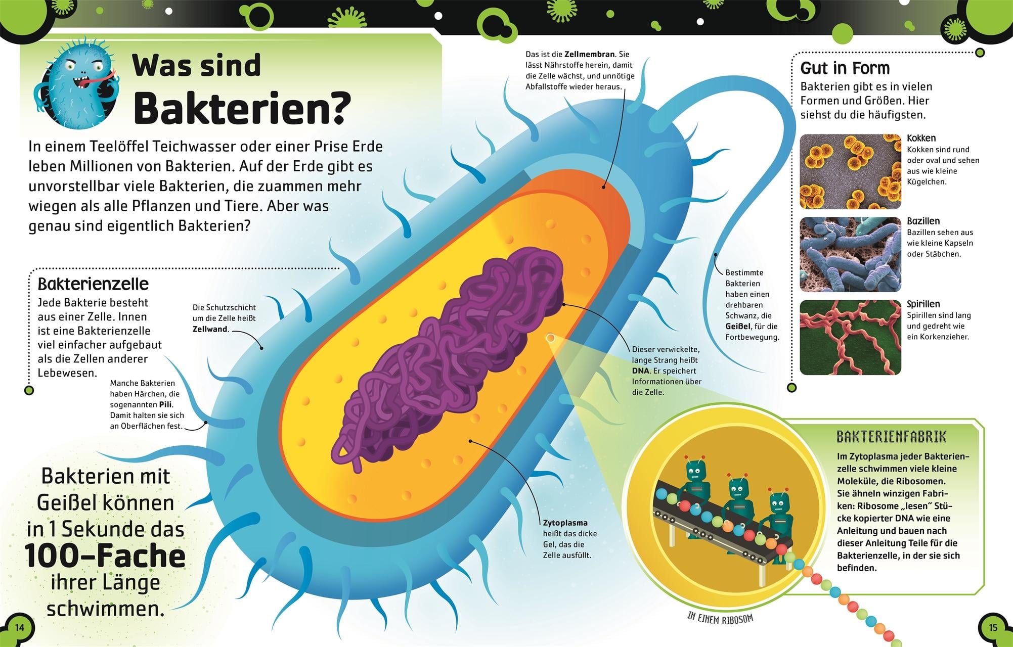 Produktbild: Superstark & Superschlau. Bakterien und Viren
