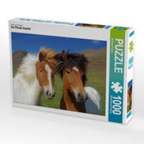 CALVENDO Puzzle Ein Motiv aus dem Kalender Die Pferde Islands | 1000 Teile Lege-Größe 64x48cm Foto-Puzzle für glückliche Stunden