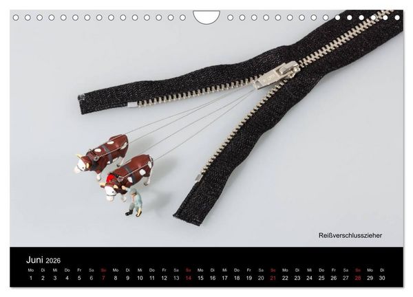 Produktbild: Tomatenmaler ... und andere Mini-Welten (Wandkalender 2026 DIN A4 quer), CALVENDO Monatskalender