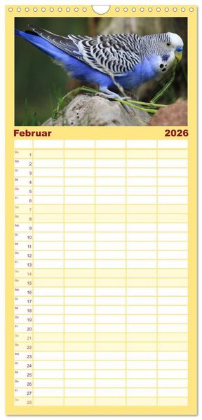 Produktbild: Familienplaner 2026 - Wellensittichkalender! - Das Original mit 5 Spalten (Wandkalender, 21 x 45 cm) CALVENDO