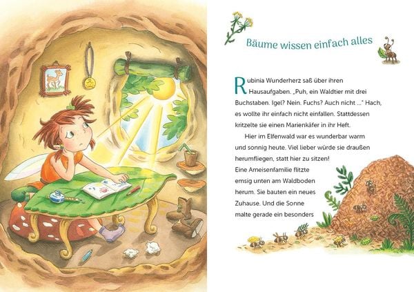 Rubinia Wunderherz, die mutige Waldelfe (Band 2) - Das Geheimnis der schwarzen Feder