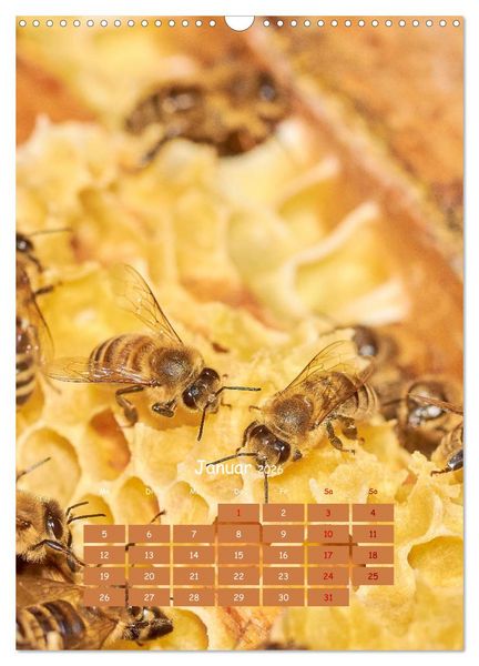 Produktbild: Gesch&auml;ftig wie im Bienenstock (Wandkalender 2026 DIN A3 hoch), CALVENDO Monatskalender