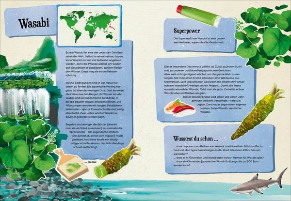 Produktbild: Wei&szlig;t du, wo der Pfeffer w&auml;chst? &ndash; Erstaunliches Wissen von Ananas bis Zimt