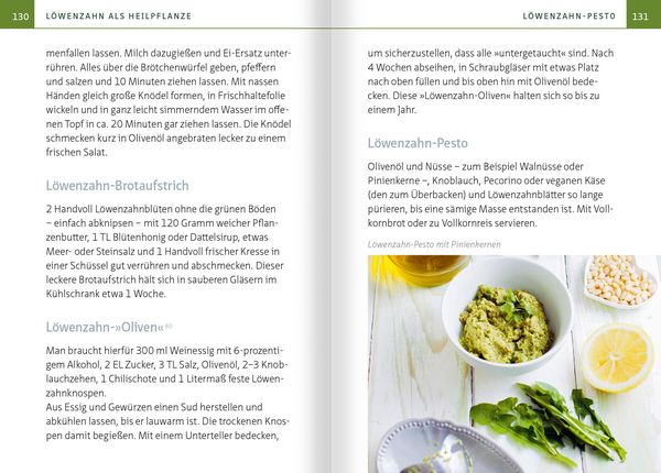 Produktbild: L&ouml;wenzahn - Wunderkraut f&uuml;r Resilienz und Lebenskraft. Kompakt-Ratgeber
