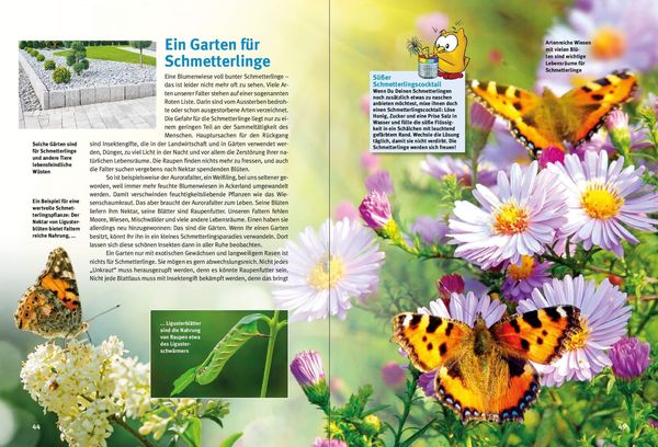 Produktbild: Entdecke die Schmetterlinge