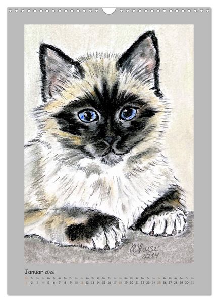Produktbild: PortraiTierART Samtpf&ouml;tchen (Wandkalender 2026 DIN A3 hoch), CALVENDO Monatskalender