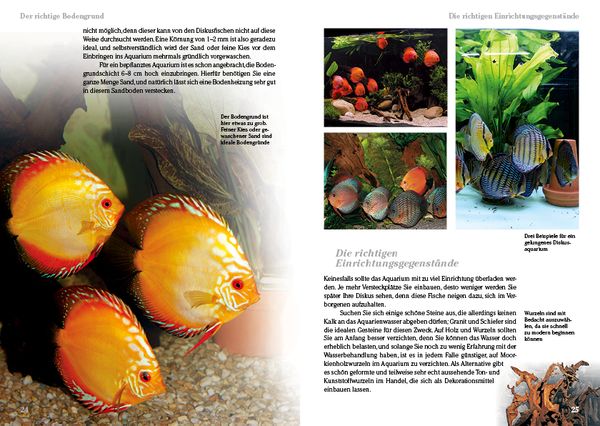 Produktbild: Diskusfische