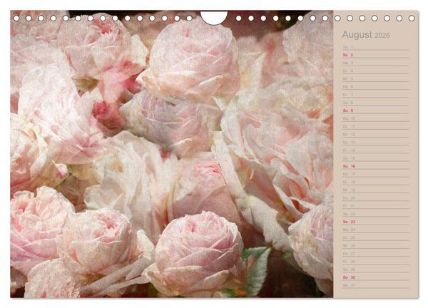 Produktbild: Romantische Rosen (Wandkalender 2026 DIN A4 quer), CALVENDO Monatskalender