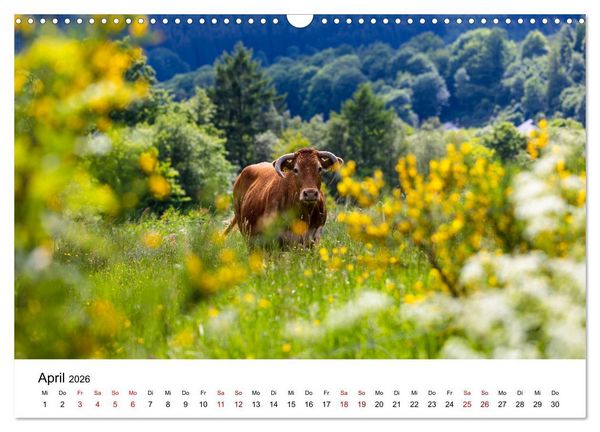 Produktbild: Westfeld-Ohlenbach im Wechsel der Jahreszeiten (Wandkalender 2026 DIN A3 quer), CALVENDO Monatskalender