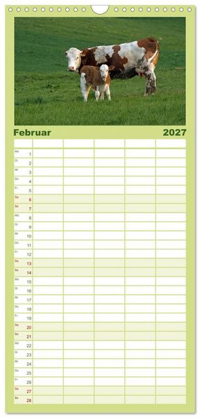 Produktbild: Familienplaner 2027 - Muuuhhh! mit 5 Spalten (Wandkalender, 21 x 45 cm) CALVENDO