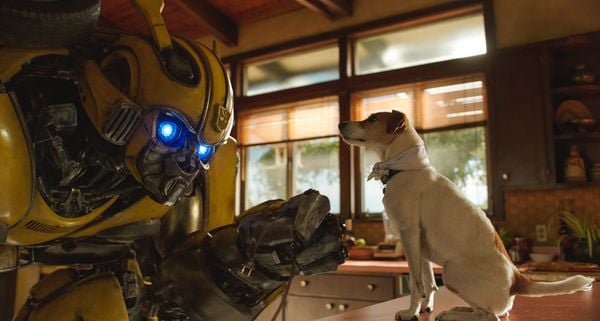 Produktbild: Bumblebee